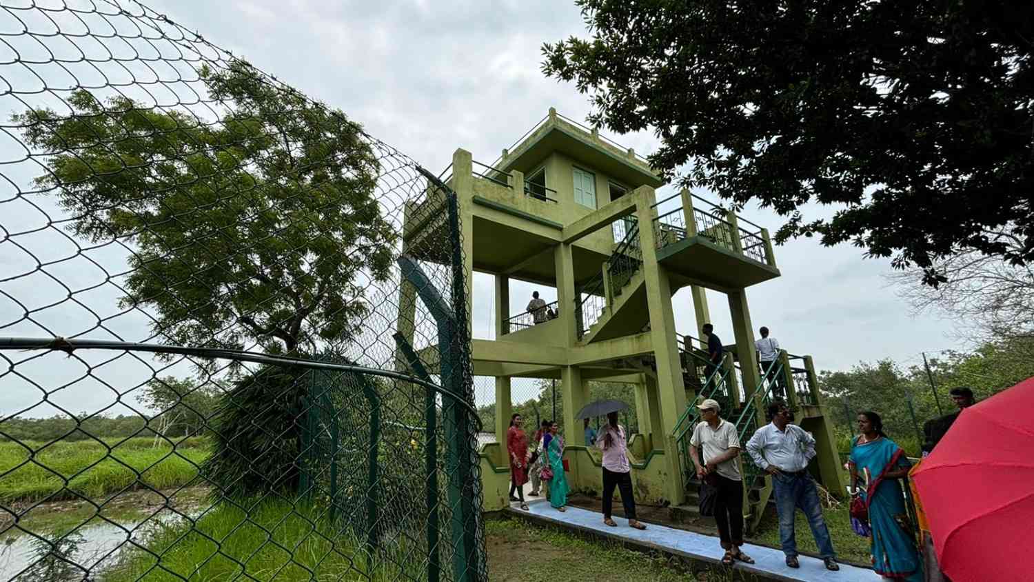 Sundarban Tour