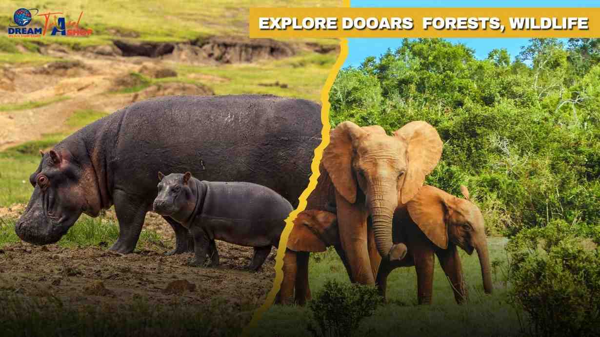 Dooars Tour Package